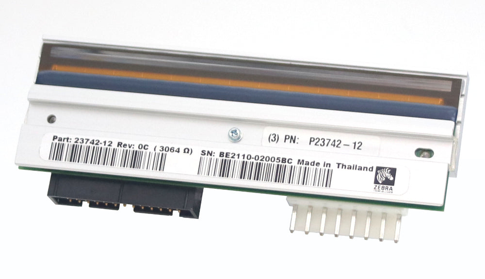 Zebra P1004233