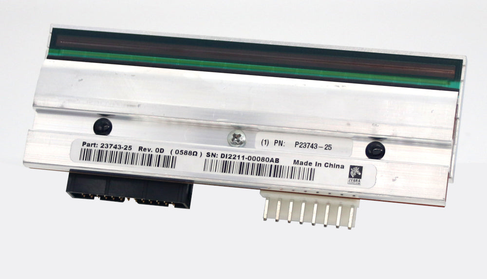 Zebra P1004234