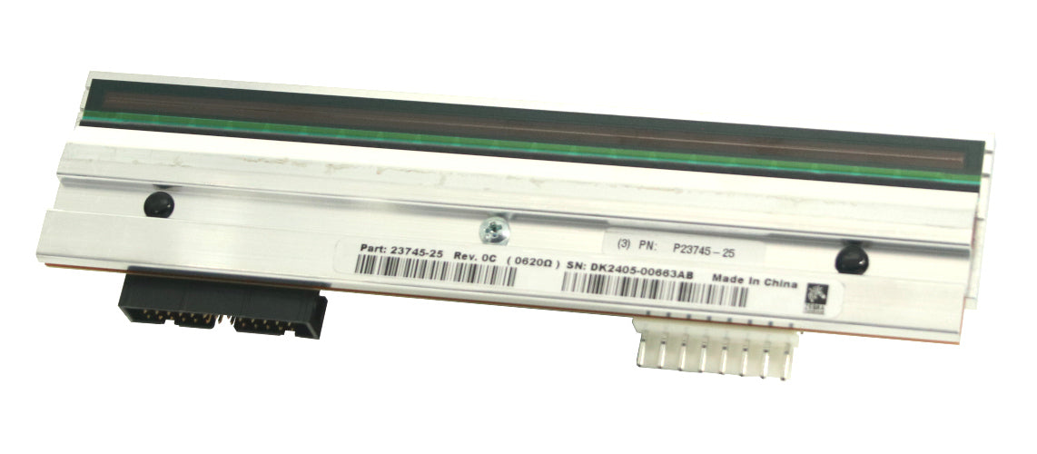 Zebra P1004236
