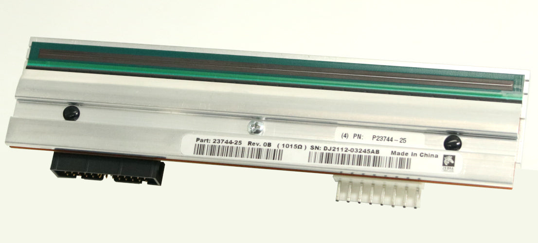 Zebra P1004237
